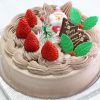 クリスマスケーキ　チョコレートクリーム